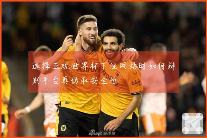 选择正规世界杯下注网站时如何辨别平台真伪和安全性