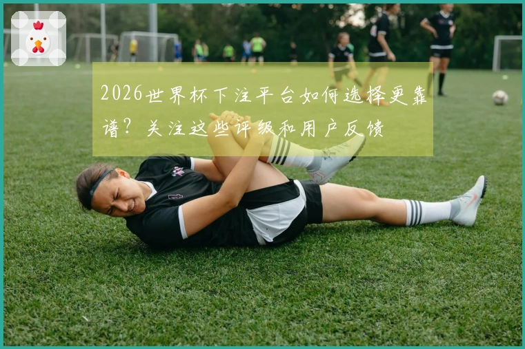 2026世界杯下注平台如何选择更靠谱？关注这些评级和用户反馈