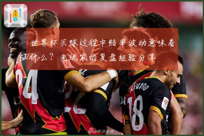世界杯买球过程中赔率波动意味着什么？老玩家的复盘经验分享